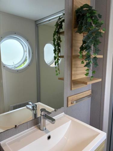 a bathroom with a sink and a mirror at Chalet Masion Meerwijck 6 aan het Zuidlaardermeer in Kropswolde