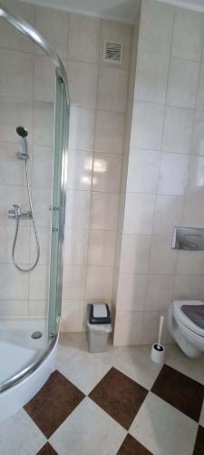 a bathroom with a shower and a toilet at Willa North Star in Władysławowo