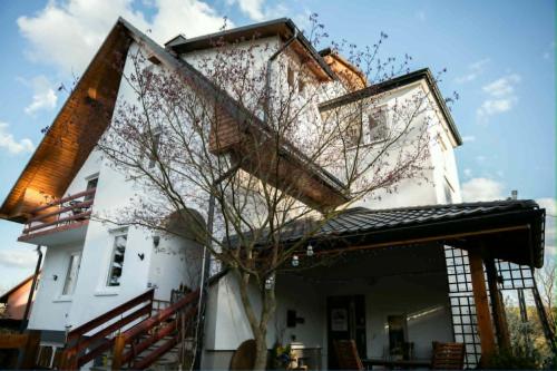 a white house with a tree in front of it at Trzy Wzgórza Huwniki in Huwniki