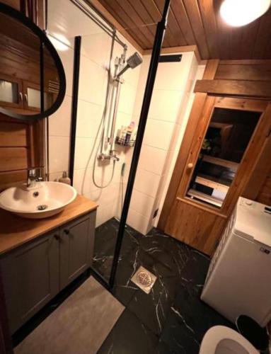 a bathroom with a sink and a shower in a house at Villa Safari in Perniö