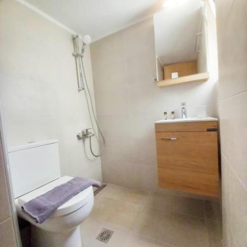 a bathroom with a toilet and a sink with a purple towel at Studio Nicki Chania in Chania
