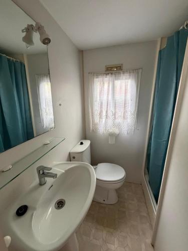 a bathroom with a sink and a toilet and a mirror at Sid's mobile home - Camping Riba Roja in Riba-roja d'Ebre