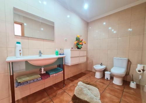a bathroom with a sink and a toilet at Casa do Telhal in Vila Nova de Gaia