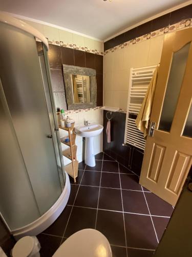 a bathroom with a sink and a toilet at Fântânele Vacation Home, Charming Rustic Home in Fîntînele