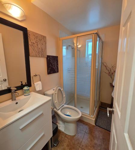 a bathroom with a toilet and a sink and a shower at Wallace getaway in Delta
