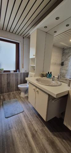 a bathroom with a sink and a toilet at Ferienwohnung Alex in Nidderau