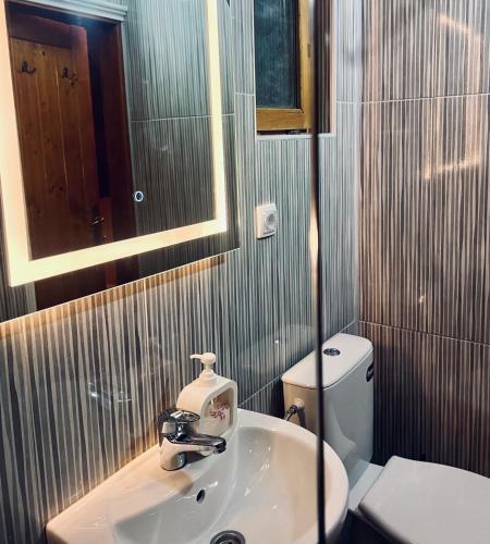 a bathroom with a sink and a toilet and a mirror at Plava Zora in Kolašin