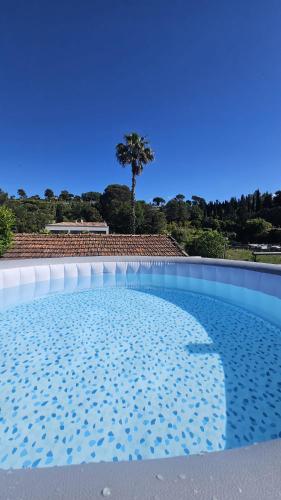 a swimming pool with a palm tree in the background at Mougins Centre - Bastide pierre rénovée spa et piscine privé in Mougins