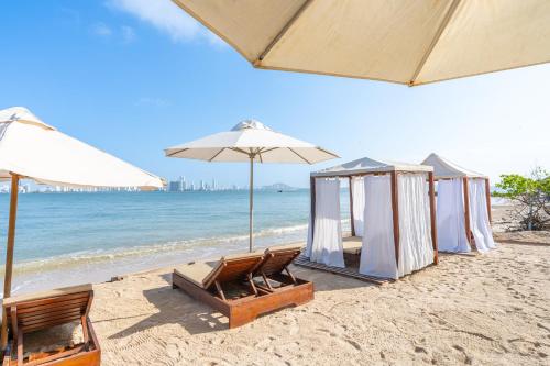 a couple of chairs and umbrellas on a beach at Hotel Tropical Inn in Tierra Bomba