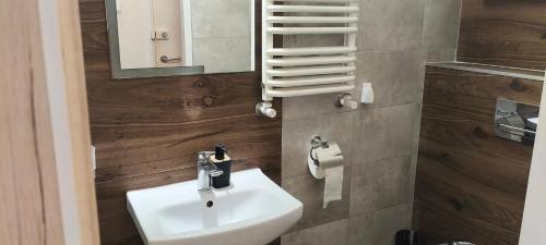 a bathroom with a sink and a mirror at Essa apartament in Brzeg