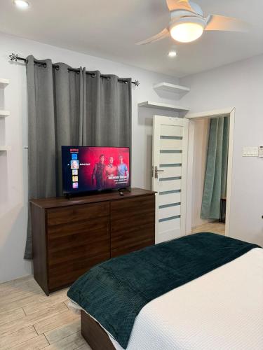 a bedroom with a bed and a flat screen tv at Charm New Kingston in Kingston