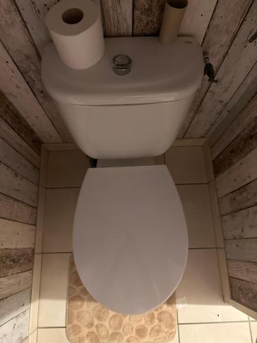 a white toilet with a roll of toilet paper on it at Orléans passe in Olivet