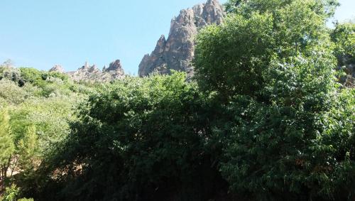 Zdjęcie z galerii obiektu Casas La Piedra De Tíscar w mieście Tiscar