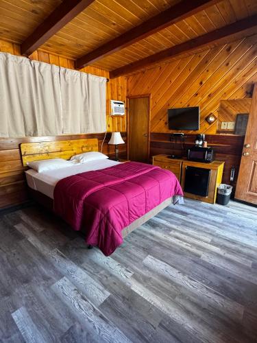 a bedroom with a bed and a television in a cabin at Toiyabe Motel in Walker