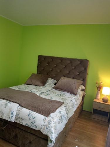 a bedroom with a bed with a green wall at Tiski raj in Bečej
