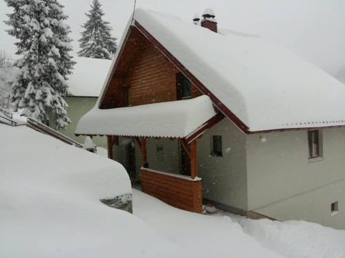 a house covered in snow with trees at Holiday Home Brist in Brestova Draga