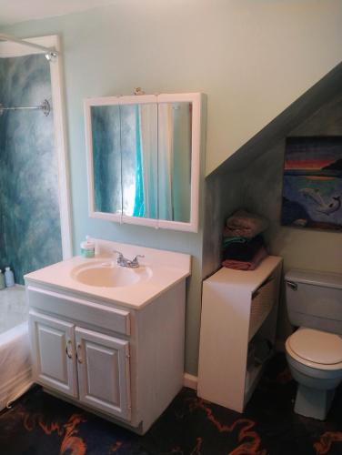 a bathroom with a sink and a toilet at Magical stone cottage in Pine Grove Mills