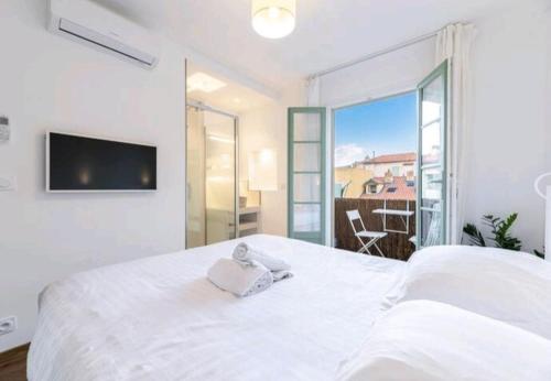 Chic Apartment at Nice Port 2 Suites with Private Bathrooms & AC