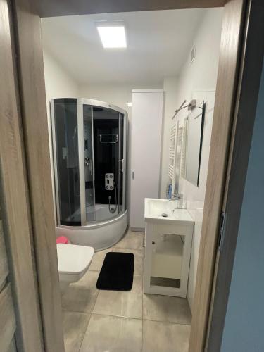 a bathroom with a sink and a toilet at Przylądek Werlas in Werlas