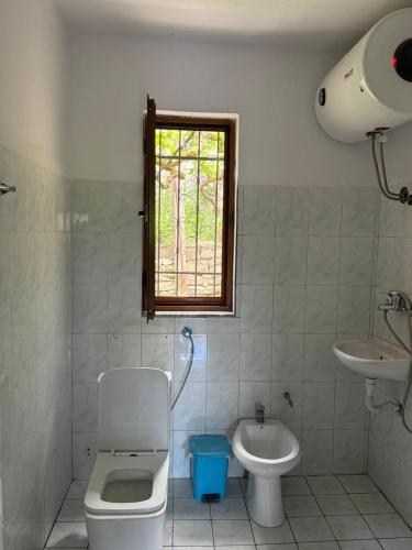 a bathroom with a toilet and a sink and a window at Guest House Ajasllari in Çorovodë