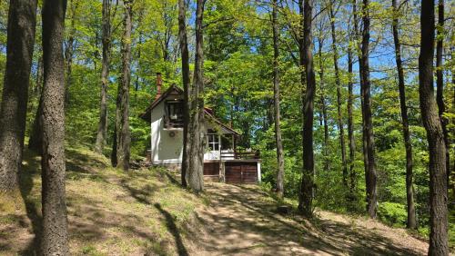 a small cabin in the middle of a forest at Forest House Bukulja in Arandelovac