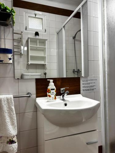 a bathroom with a white sink and a mirror at Casa Jardim 21 in Prazeres