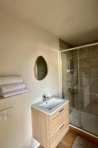 a bathroom with a sink and a shower at Les logis du canal in Betton