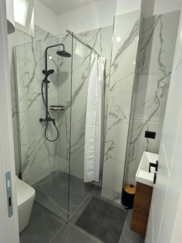 a bathroom with a glass shower with a toilet at Paolo's Apartments in Shëngjin