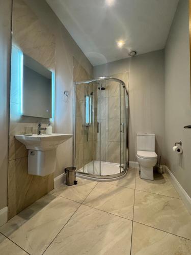 a bathroom with a shower and a sink and a toilet at Studio 7 in Dungannon