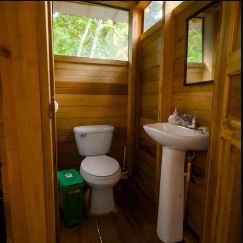 a small bathroom with a toilet and a sink at Hongos mágicos in San Mateo Río Hondo