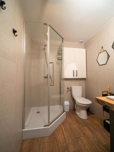 a bathroom with a shower and a toilet at Leśna Chata in Bierzów