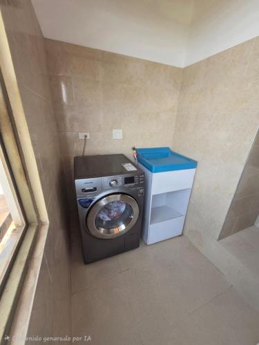 a washer and dryer in a small room at Luxury flandes in Flandes