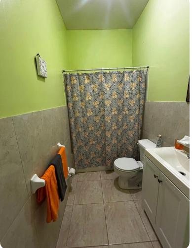 a bathroom with a shower curtain and a toilet at J&L beachfront bliss steps to sand an sunset views in Rolleville