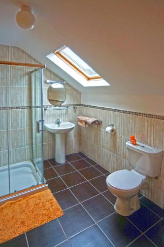 a bathroom with a toilet and a sink and a shower at 4 Bed in Inch oc-i190 in Anascaul