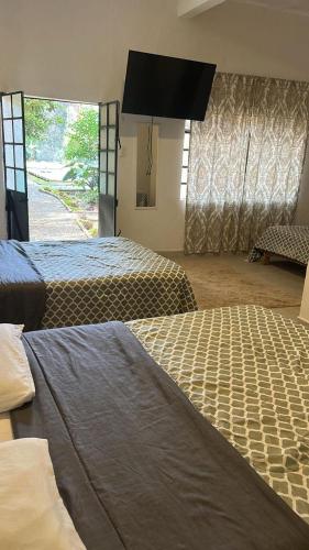 a bedroom with two beds and a large window at Casa Madero Rooms in Cuernavaca