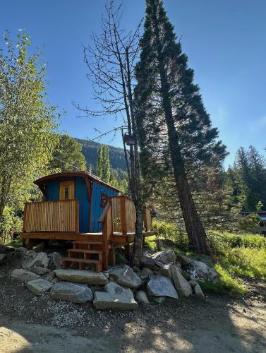 ein winziges Haus mitten in einem Wald in der Unterkunft Bitty Bunky in Nelson