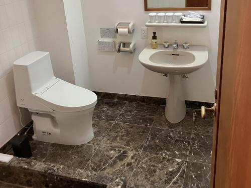 a bathroom with a toilet and a sink at LiVEMAX Golf Club Tochigi in Kanuma
