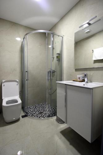 a bathroom with a shower with a toilet and a sink at Pigeon Cave Apartments in Ksamil