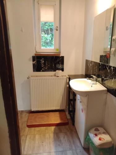 a small bathroom with a sink and a window at Pensjonat agroturystyczny Sosnówka - KOSARZYN in Kosarzyn