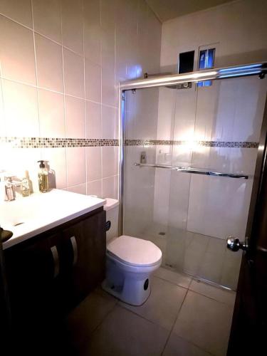 a bathroom with a shower and a toilet and a sink at Villa Rosita in San Carlos