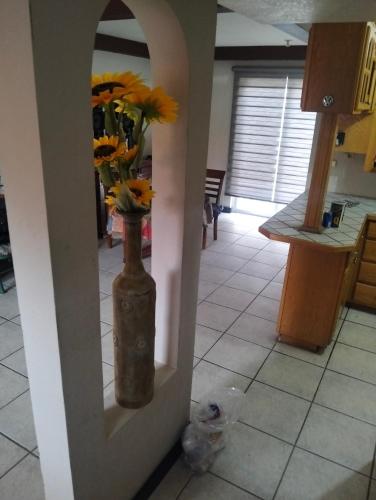 a vase with flowers in the corner of a kitchen at Casa amueblada in Manuel F. Martínez