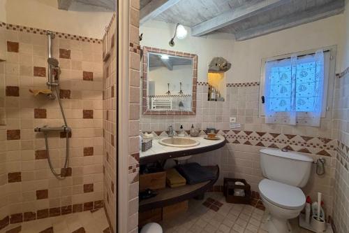 a bathroom with a toilet and a sink and a mirror at Le Clos Lau-Tave Charming 110 m Provençal home with private garden in Simiane-la-Rotonde