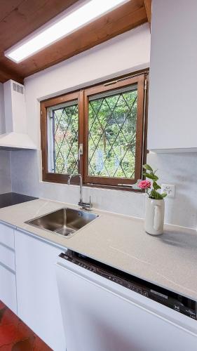 a kitchen with a sink and a window at La Finestra sul lago in Brissago