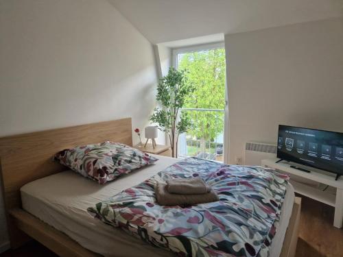 a bedroom with a bed with a television on a desk at Apartment Downtown in Regensburg