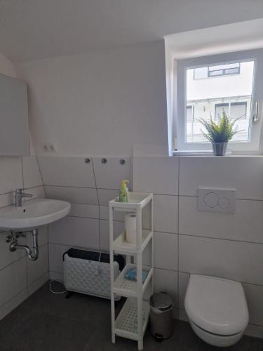a bathroom with a white toilet and a sink at Apartment Downtown in Regensburg