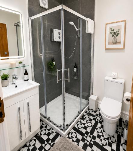 a bathroom with a shower with a toilet and a sink at Unit 4 Tranquil Harbourside Retreat- Central Location in Cobh