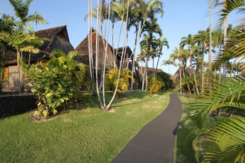a path through a yard with palm trees at Sea Mountain in Punaluu