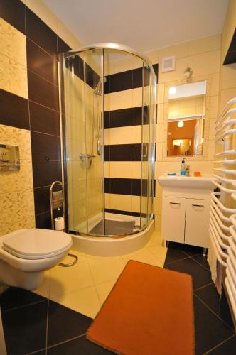 a bathroom with a shower and a toilet and a sink at Apartament U Jacka in Rabka-Zdrój