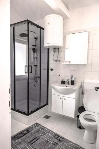 a bathroom with a shower and a toilet and a sink at AG Apartmans in Gornji Vakuf