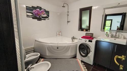 a bathroom with a tub sink and a washing machine at Casa Roxana in Pangarati